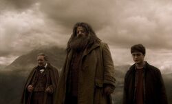 Фото Гарри Поттер и Принц-полукровка