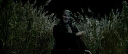 Фото Гарри Поттер и Принц-полукровка