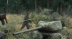 Фото Белый тигр