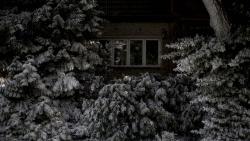 Обои Берлинский синдром