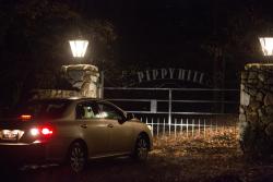 Фото Бивень