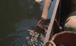 Фото Несчастный случай