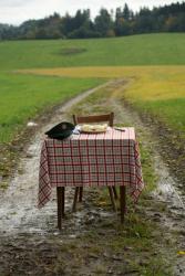 Фото Блюз с кнедликами