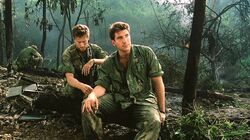 Обои Высота «Гамбургер»