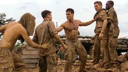 Обои Высота «Гамбургер»