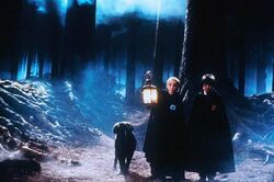 Фото Гарри Поттер и философский камень