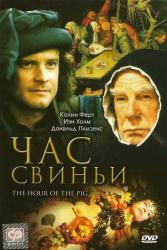 Фото Час свиньи