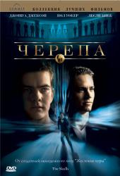 Фото Черепа