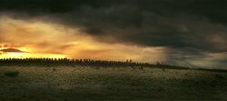 Фото Властелин колец: Возвращение короля