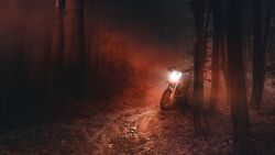 Обои Страна Рождества