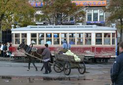 Фото Дау