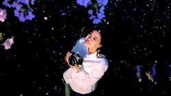 Фото Письма из Нираи Канаи