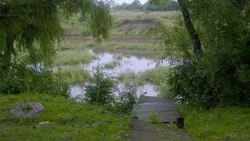 Фото Бунинъ
