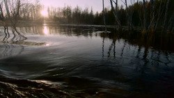 Фото Бунинъ