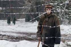 Обои Группа крови