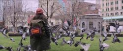 Обои Элла и чёрный ягуар