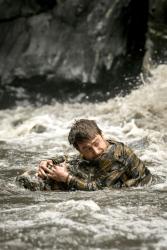 Фото Джунгли
