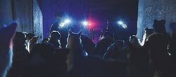 Фото Догмен
