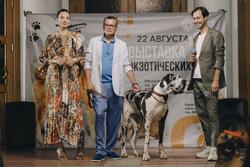 Фото Домохозяин