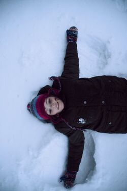 Обои Пришелец