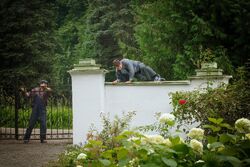 Фото Нинель