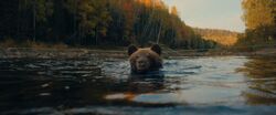 Обои Пальма 2