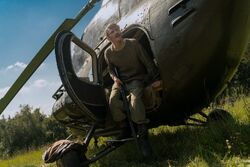 Обои Пальма 2