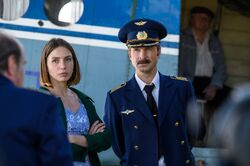 Обои Пальма 2