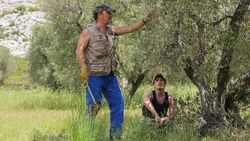 Обои Каникулы в Провансе