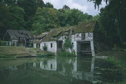 Фото Француженка