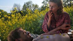 Обои Афоня и пчелы