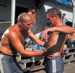Фото Хладнокровный Люк