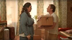 Обои Котострофа