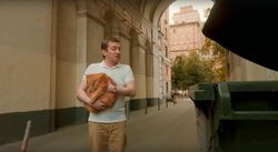 Обои Котострофа