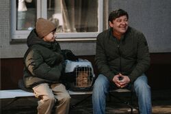 Обои Котострофа