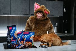 Обои Котострофа