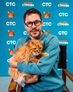 Обои Котострофа