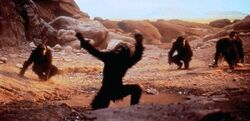 Фото 2001 год: Космическая одиссея