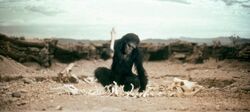 Обои 2001 год: Космическая одиссея
