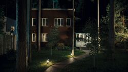 Обои Телохранители
