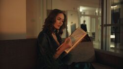 Обои Телохранители