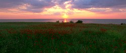 Фото Счастье в конверте