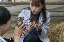 Фото Клуб собак!