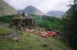 Фото Гарри Поттер и узник Азкабана