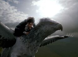 Фото Гарри Поттер и узник Азкабана