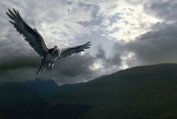 Фото Гарри Поттер и узник Азкабана