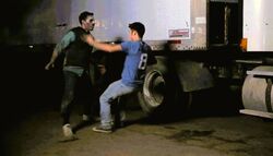 Обои След от укуса