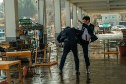 Обои Ночная поездка