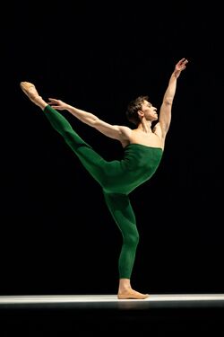 Обои TheatreHD: Гольдберг-вариации