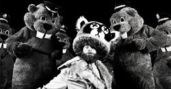 Обои Сотни бобров